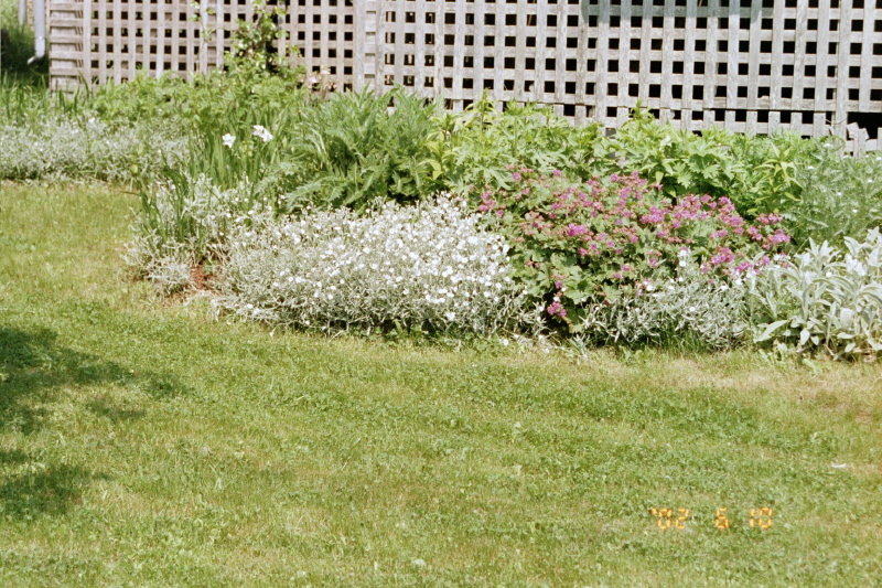 flower beds