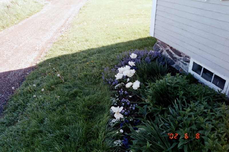 flower beds_1